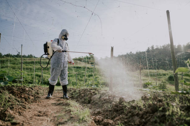 Best Mosquito Control Services  in Danville, IN