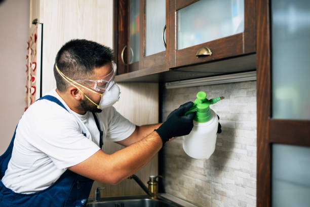 Best Pest Inspection Near Me  in Danville, IN