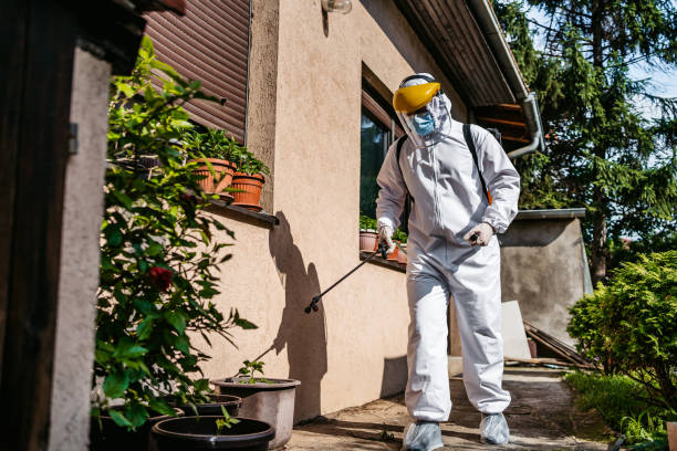 Best Rat Extermination Near Me  in Danville, IN