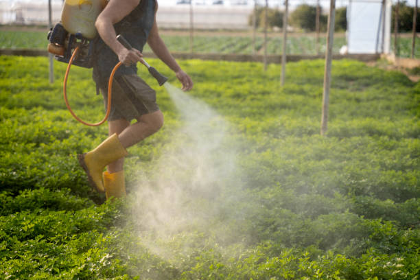 Best Ant Control Services  in Danville, IN