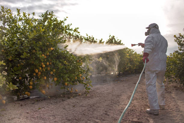 Best Ant Control Services  in Danville, IN