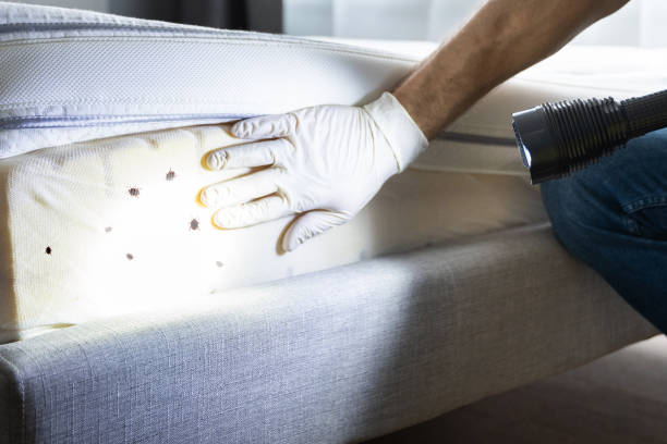 Best Affordable Pest Control Services  in Danville, IN