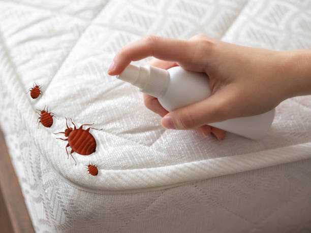 Best Pest Removal Services  in Danville, IN