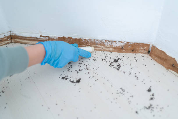 Best Bed Bug Extermination  in Danville, IN