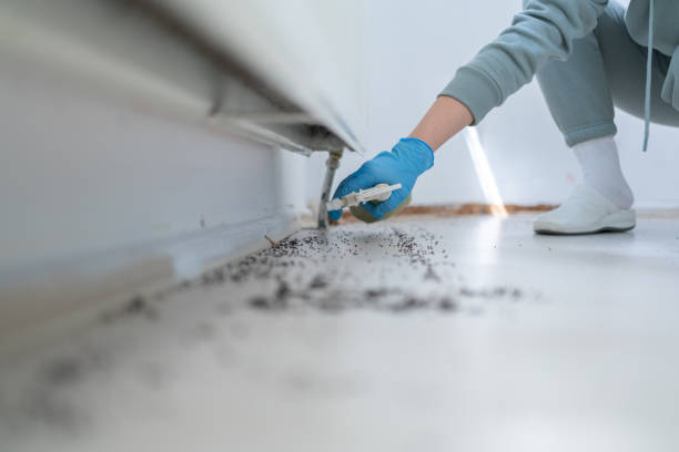Best Local Pest Control Services  in Danville, IN